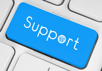 برقراری امنیت با پشتیبانی سایت