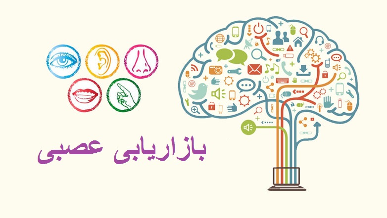 بازاریابی عصبی