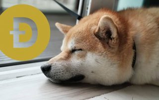 دوج کوین چیست؟