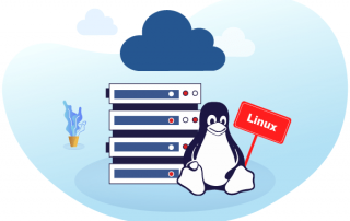 تفاوت هاست لینوکس ایران و آلمان