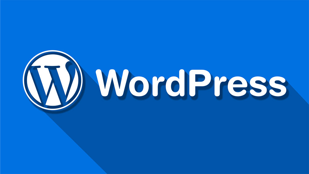 سئو در وردپرس